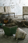 chernobyl 70 pripyat ghosttown hospital noone to water the plants.jpg